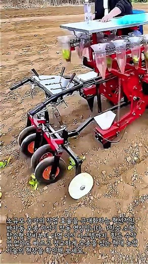 농사 효율 200% 올리는 소형 모종 심는 기계 #farming #skills #tractor #seedling #technology
