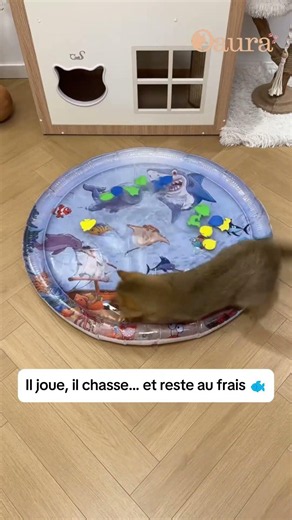 Le tapis rafraîchissant résistant aux griffes 🐾 #cat #chat #accessoireschat