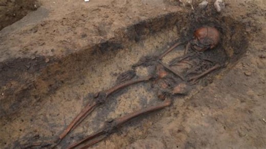 Fifty 'exceptionally well-preserved' skeletons unearthed at Danish Viking burial ground