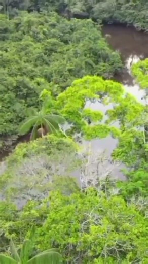 Panggilan Hutan :15 | Didepan Sana, Banyak Cerita Menanti.