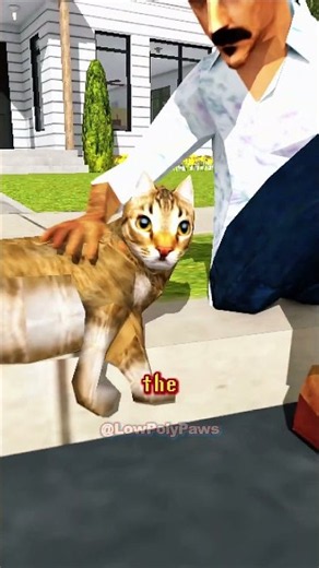 Watch Your Cat’s Tail Before You Get Bitten