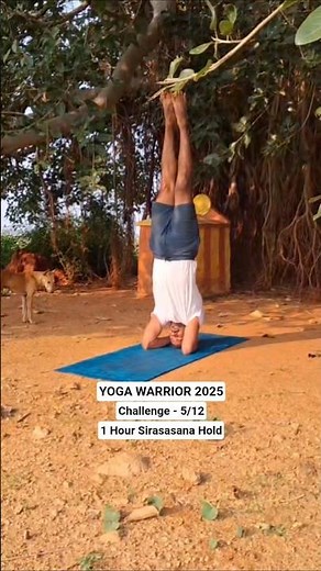YOGA WARRIOR 2025 Challenge 5/12