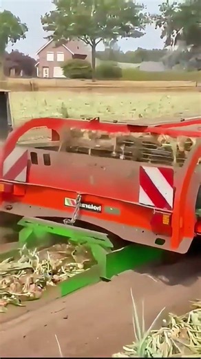 🚜 Cosechadora Gigante en Acción 🌾 | Potencia Extrema #farming