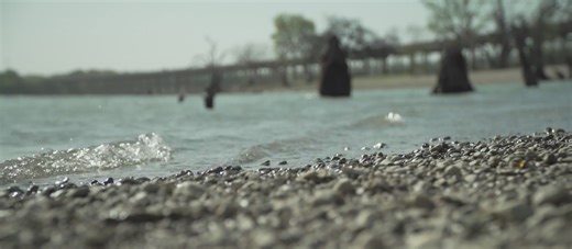 Zebra mussels eradicated from local drinking supply but survive winter weather