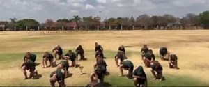 Springbokke Wêreldbeker Groete van die 0/11 Rugbyspan