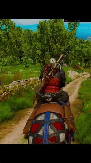 The Witcher 3 Max settings Max RT No HUD #thewitcher3 #gameplay #shorts #gaming #raytracing #pc