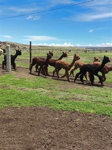 #💸💸💸💸💸💸💸