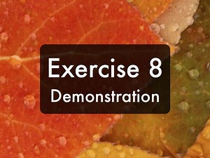 exercise8.mp4