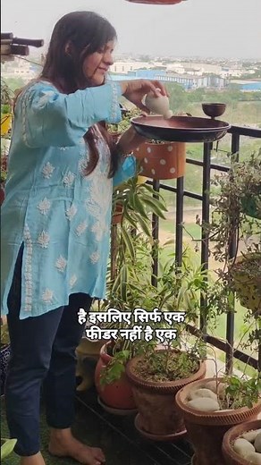 Save Sparrows: Create a Bird-Friendly Balcony with Nest, Feeder & Water Bowl - Meri Pahal NGO