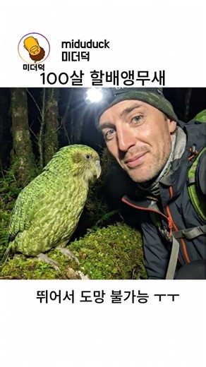 100살 먹은 할배 앵무새 카카포