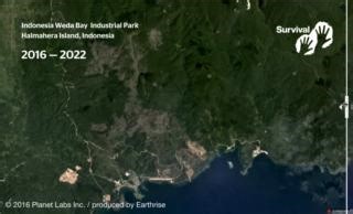 34 reactions · 35 shares | Look what mining nickel to make electric car batteries is doing to Halmahera Island in Indonesia! Tesla has poured billions into the country's massive nickel mining plans. Hundreds of uncontacted Hongana Manyawa live on this island. They'll be wiped out if the mining reaches them. Act now: svlint.org/IndonesiaFB #UncontactedTribes | Survival International | Facebook