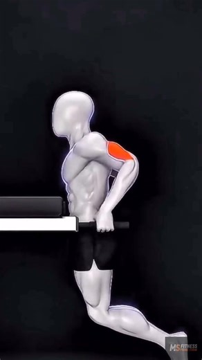 Parallel Bar Dips – One Exercise, Two Powerful Targets 💪