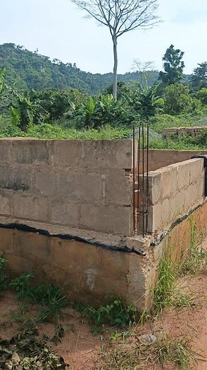 13K views · 166 reactions | The 9" by 18" blocks make building faster in a height raising | John Protein | Facebook