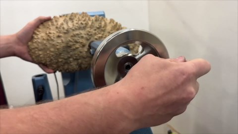 Woodturning - The Hedgehog Burl