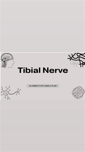 Tibial nerve anatomy made easy! High-yield exam-oriented notes covering origin, course, branches, muscles supplied, and clinical correlations of the tibial nerve. 📌 Perfect for: • MBBS students • FCPS Part 1 • USMLE & PLAB aspirants • Last-minute anatomy revision 🎯 Short, crisp, and exam-focused tibial nerve notes for fast recall. Follow MBBS Lectures by Dr Zeenat for daily medical reels and high-yield concepts. #TibialNerve #TibialNerveAnatomy #LowerLimbAnatomy #AnatomyNotes #HighYieldNotes #