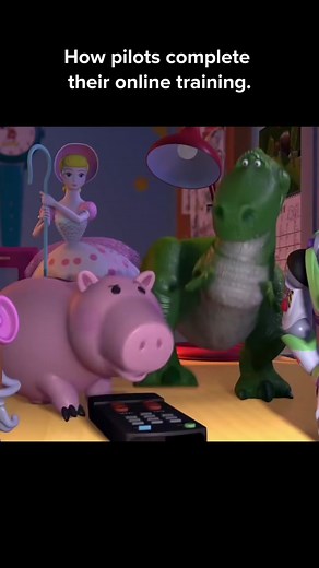 i am a pilot on TikTok