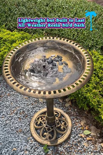 Benefits of Circulating Water in Garden Spaces