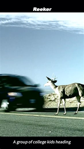 The Deer That Stopped the Nightmare | Reeker 2005 – The Collision in the Dark 🦌🚗💔
