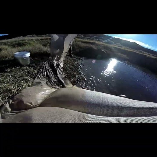 Seining in the High Desert | Feeling Good as Hell at Rudd Creek