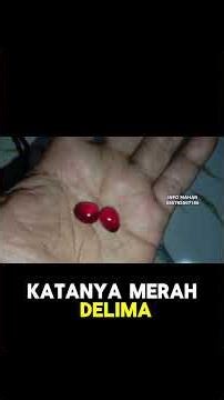 Mustika Delima Merah Bukan Batu Biasa! Ini Penjelasan Produk Jin atau Produk Asli