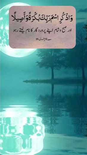 subha wa sham#shorts #shortfeed #shortsvideo#islamicstatus #islamicvideo #trending