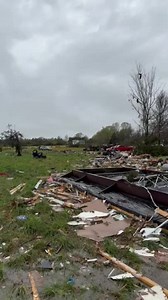 Tornado hits near Moscow in Fayette County, Tennessee: Video shows the damage