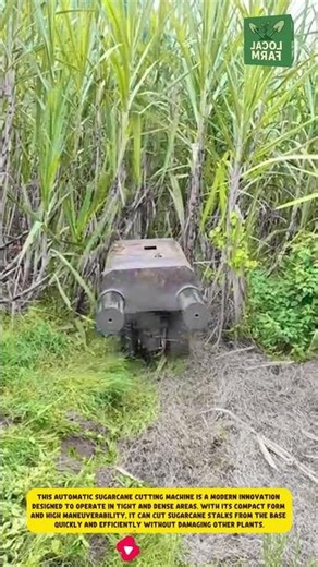 This automatic sugar cane cutting machine is a modern innovation designed to operate in tight areas