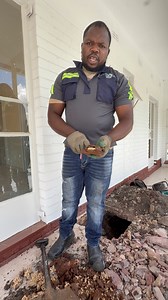 A successful job in Borrowdale, Harare, We managed to locate a termite nest inside the Foundation and. verandah that had caused a lot of damage to the structure . They confirmed that they tried to self-remedy and DIY methods , but to no avail. After exhausting all solutions, they invited us, and we showed them our excellent service, as always. We got the colony and removed the queen. They are now free from termites. Thank you for your support and trust! For bookings: 263771229688 or 071 136 1354