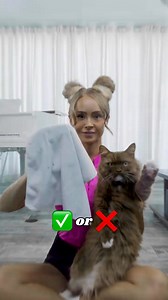 Can I Teach My Cat to Clean? | Clean Girl