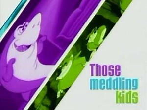 Boomerang May 27, 2010 We'll Be Right Back With More Of Those Meddling Kids Right Here On Boomerang