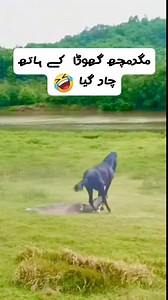 😂😂😂 | Dear Diary