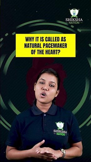 🫀 SA Node | Sinoatrial Node |⚡ Pacemaker of the Heart | NEET & Medical Exam Prep