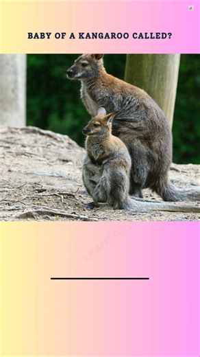 Animals and Their Babies: Learn Animal Baby Names with Pictures 🐾🐣 #learnenglish #english #animals🔥🌟