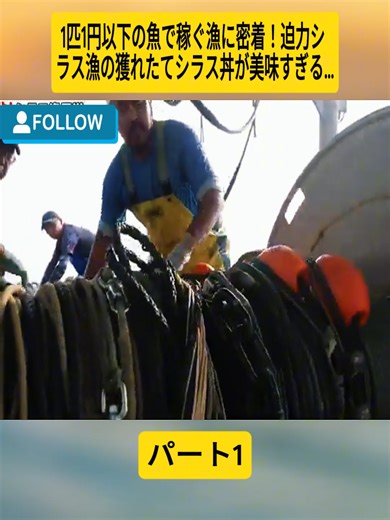 1匹1円以下の魚で稼ぐシラス漁の魅力