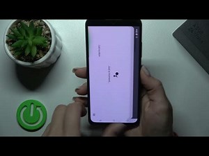 How to Activate Quick Launch in ASUS Zenfone 9 – Quick Launch ...
