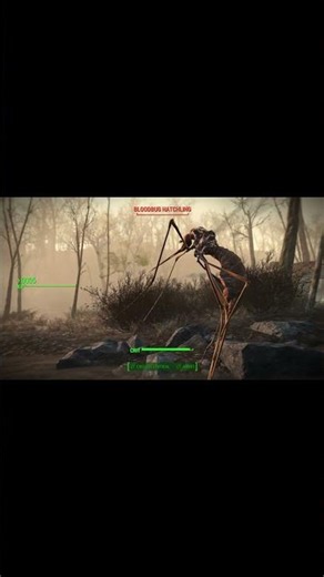 Fallout 4, Bugs always out here trying to start something #bugs #fallout4