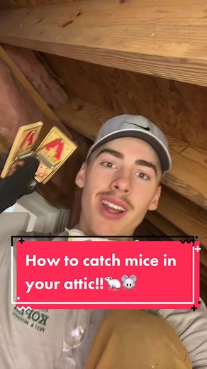 Kopex Twins on TikTok