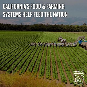 California’s farms help feed the nation, but not everyone has equal access to the healthy foods they produce. Climate change and toxic pesticides threaten our food and put farmworkers, children, and communities at-risk. Take action NOW and help push for a just and equitable farming system in California! | NRDC
