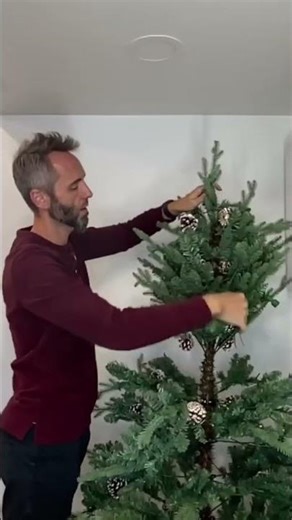 Reviewing the Remote Control Features