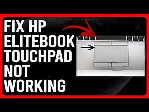 How To Fix HP Elitebook Touchpad Not Working (Quick Solutions You Can Do To Resolve The Problem)