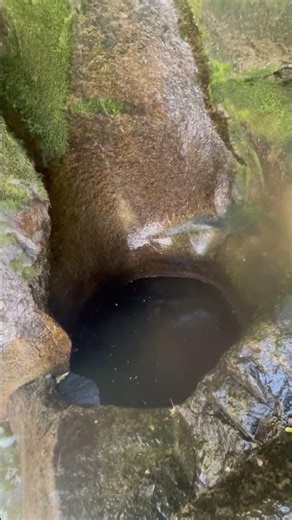 Alien Hole #waterslide#water #WTF# what is this
