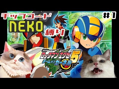 【#ロックマンエグゼ5】チームオブカーネル / チップコードNEKO縛り【#ケモノ系vtuber】＃1 ※ネタバレ注意