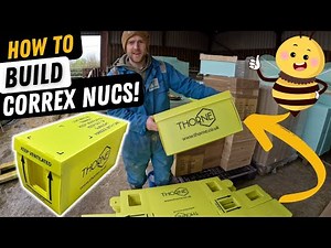 How To Build A Thornes Correx Nuc Box