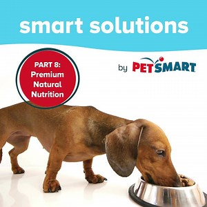 We've got the natural recipes you want, with the ingredients your dog deserves. | PetSmart | Facebook