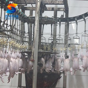 [Hot Item] Chicken Abattoir Processing Machine Poultry Slaughter Equipment Chicken Processing Machine Duck Processing Equipment
