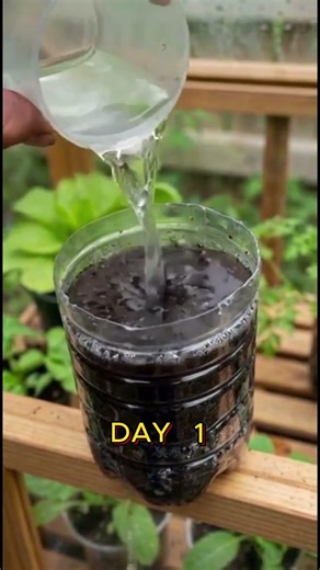 Watch This Tiny Seed Explode into Life! #gardening #satisfying