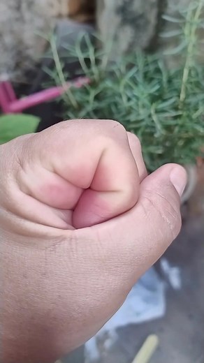 54K views · 486 reactions | Poderes sobrenaturais | Vivendo Natural | Facebook