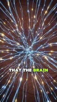 Retina Explained in 90 Seconds | Rods, Cones & Vision. #IKBiologist