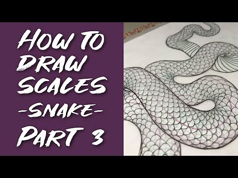 Episode 9: How to draw SCALES (Snake) - Part 3