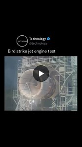 Bird Strike Jet Engine Test: Ensuring Aviation Safety | InnoVision Engineering posted on the topic | LinkedIn
